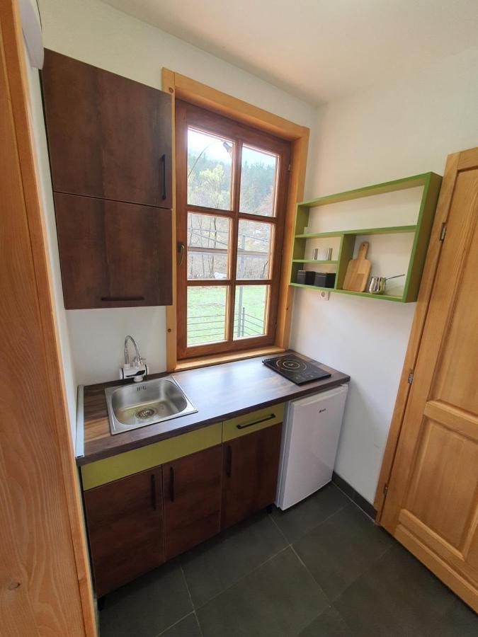 Apartments Ostojic Mokra Gora Kültér fotó